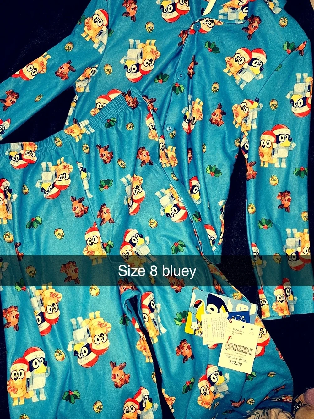 Kids Blue Holiday Character Pajama Set